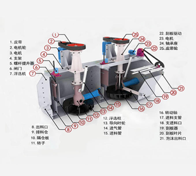 浮选机产品结构图